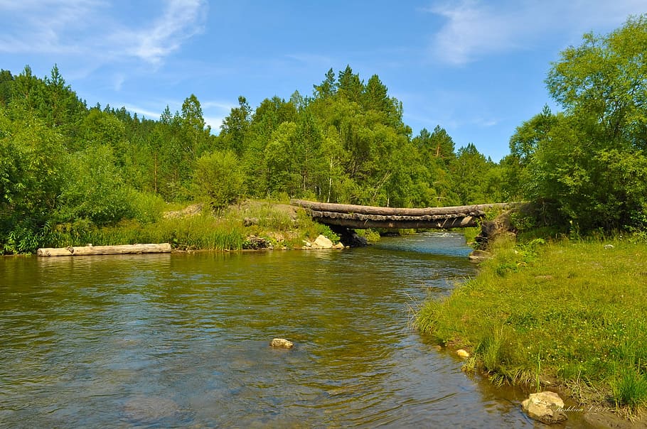 landscape photo of river, bridge, wood, forest, nature, sky HD wallpaper