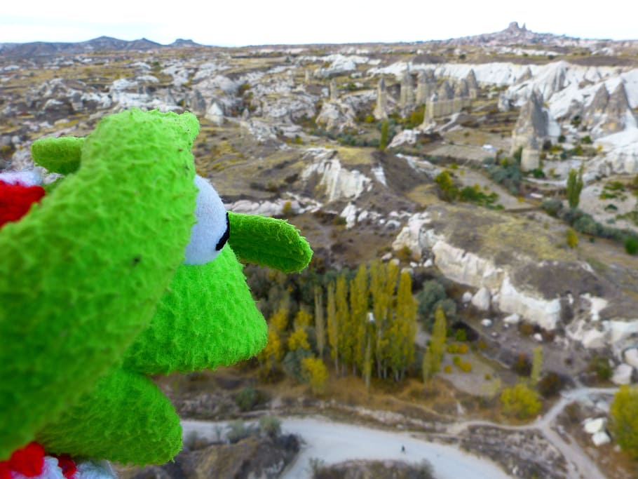 green animal puppet looking down on green leafed trees at daytime HD wallpaper
