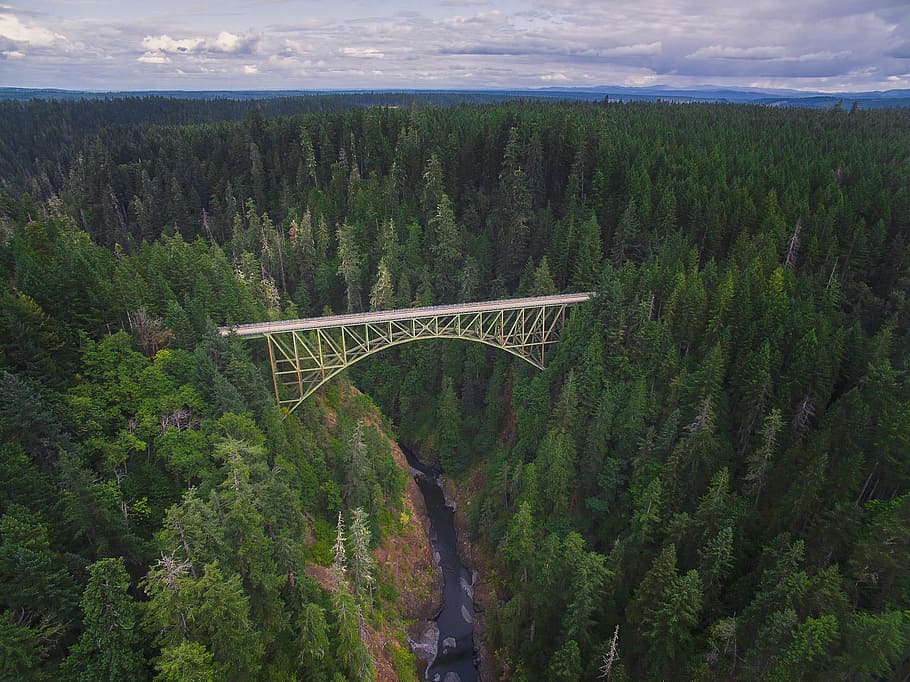 aerial photography of white bridge surrounded with green trees during daytime, white steel bridge on the middle of green trees HD wallpaper