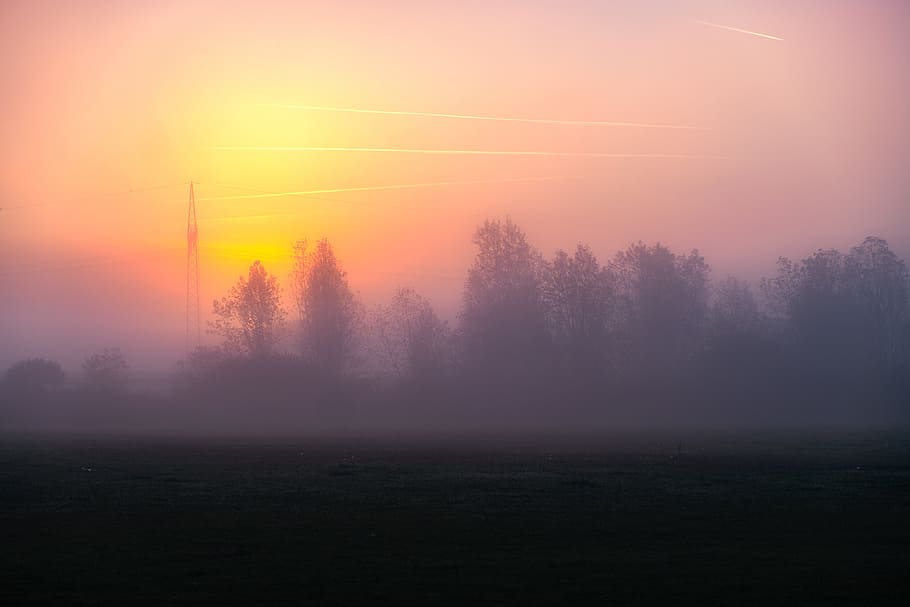 fog, sun, sunrise, morgenrot, dawn, landscape, trees, autumn HD wallpaper