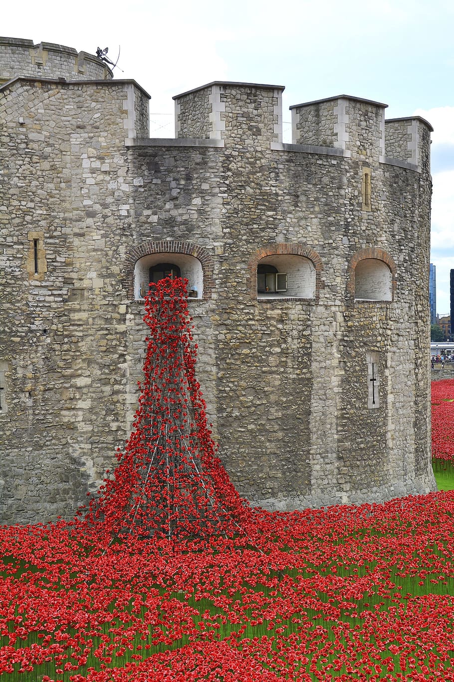 flower, red, wallpaper, architecture, built structure, building exterior HD wallpaper