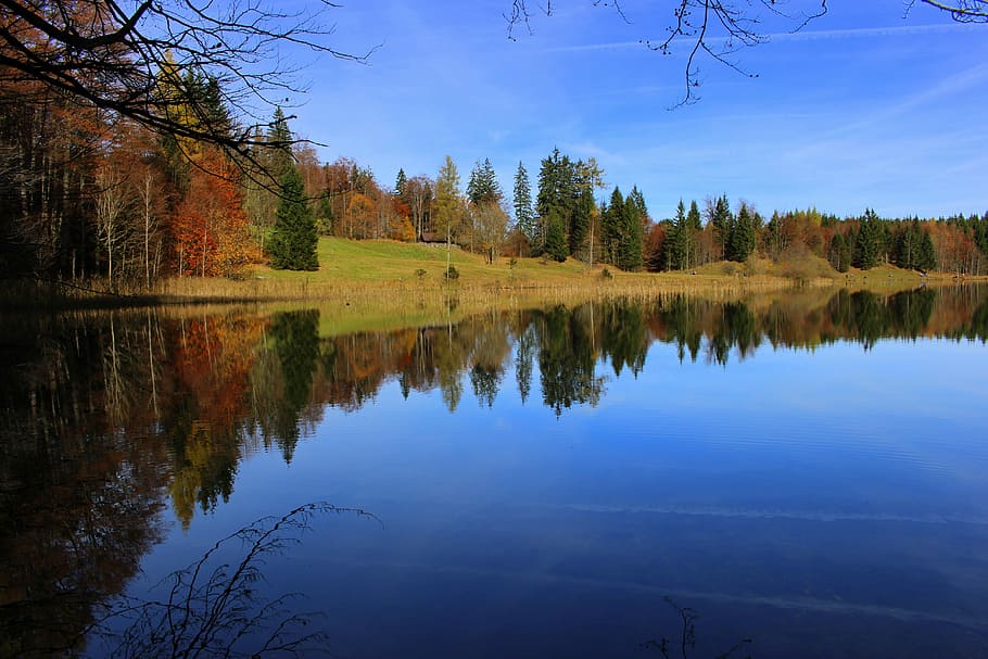 Lake, Forest, Trees, Color, Autumn, mountain, nature, water HD wallpaper