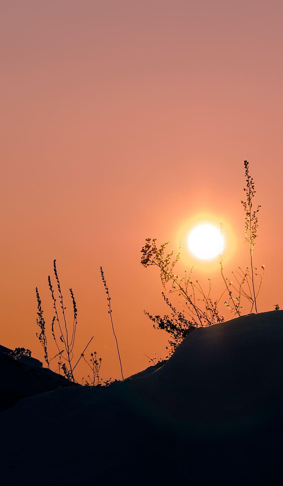 sun, siberia, winter, sunset, silence, nature, outdoors, landscape HD wallpaper