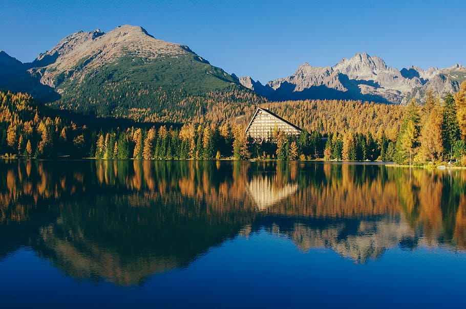 trees near mountain mirror reflection photography, grey architectural building beside the body of water HD wallpaper