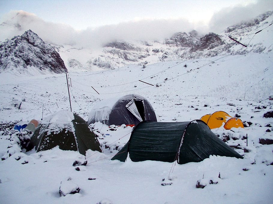 four camping tents on white snow mountain during daytime, stock, HD wallpaper