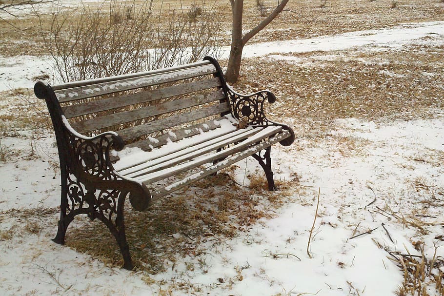 bench, park, snow, winter, grass, cast iron, wood, seat, cold HD wallpaper