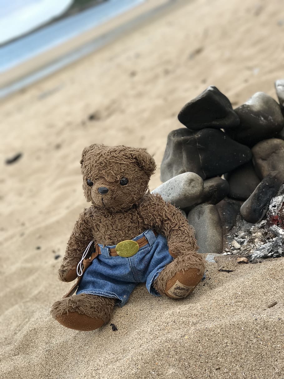 teddy, bear, beach, toy, cute, childhood, happy, teddy bear HD wallpaper