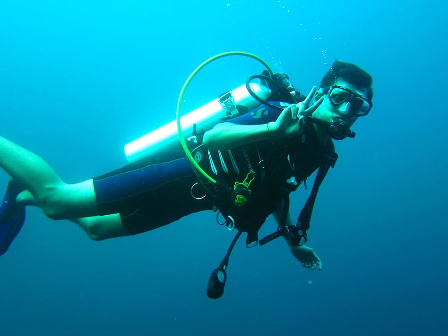 diver in body of water, Scuba Diver, Diving, Maldives, Sea, ocean