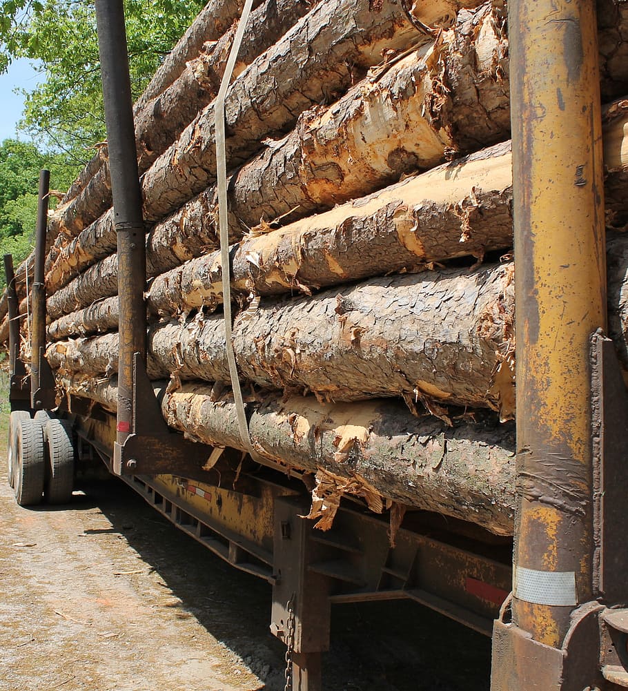 lumber, trailer, wood, tree, trunk, dead tree, cutting, industry HD wallpaper