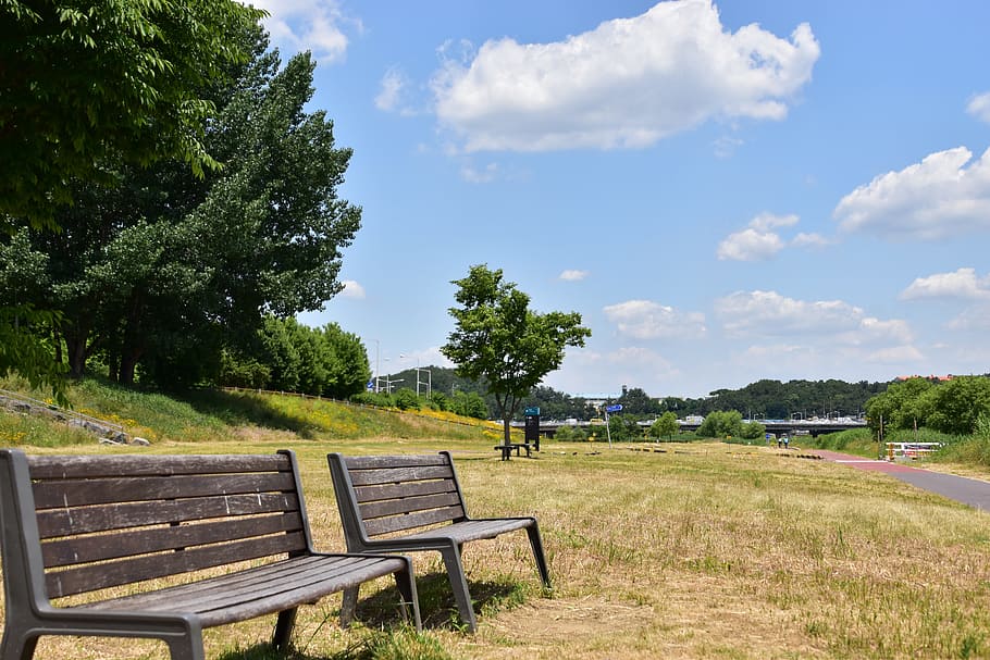 landscape, war, cbd, bench, sky, cloud, scenery, plant, tree HD wallpaper