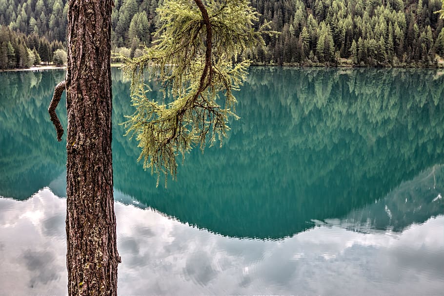 landscape, nature, sky, water, clouds, conifers, daylight, environment HD wallpaper