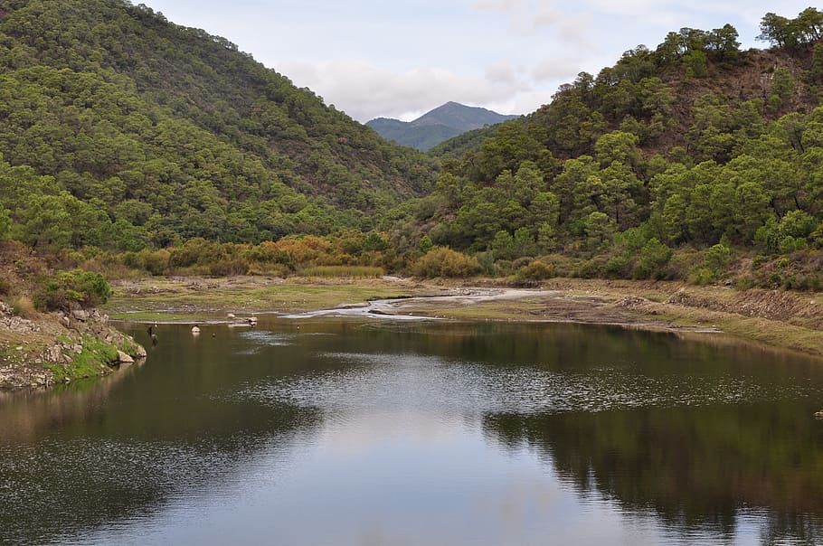 nature, marsh, open air, water, mountain, tree, scenics - nature HD wallpaper