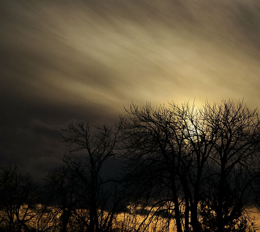 landscape, trees, clouds, sky, cloud - sky, silhouette, bare tree HD wallpaper