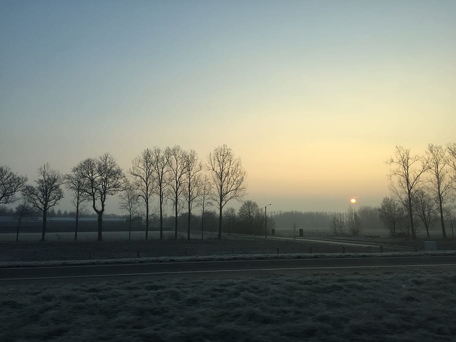 sunrise, fields, trees, clear sky, heaven, air, landscape, of course HD wallpaper