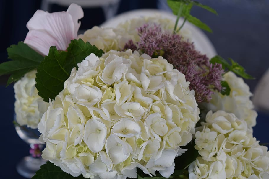 Hydrangea, Wedding Flowers, white hydrangea, floral, arrangement HD wallpaper