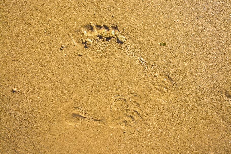 sand, beach, texture, land, footprint, high angle view, track - imprint HD wallpaper