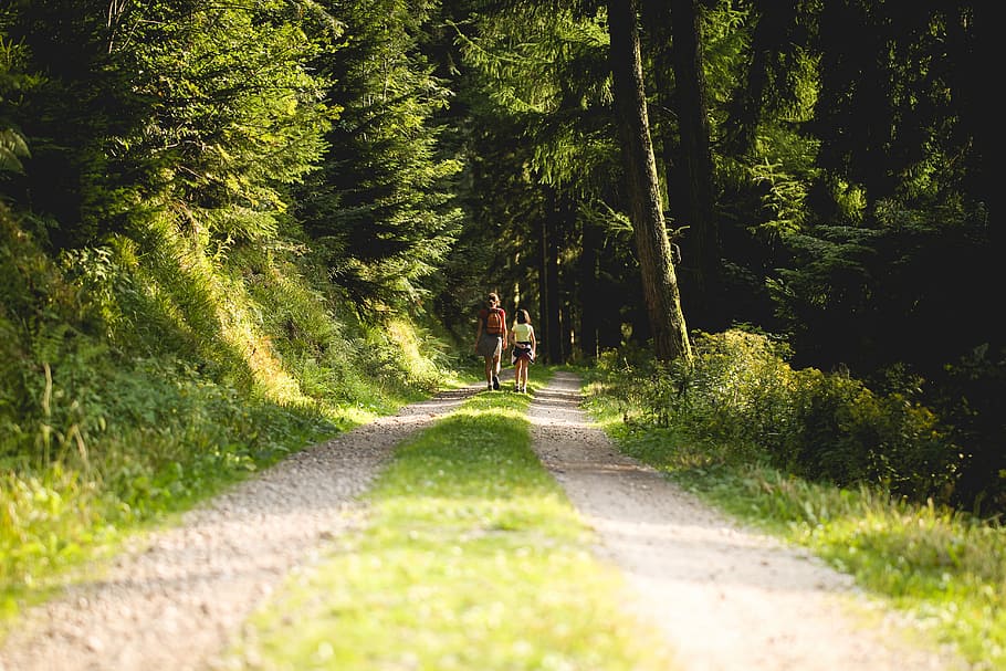 two person walking on pathway in between trees at daytime, two standing people surrounded by trees during daytime HD wallpaper