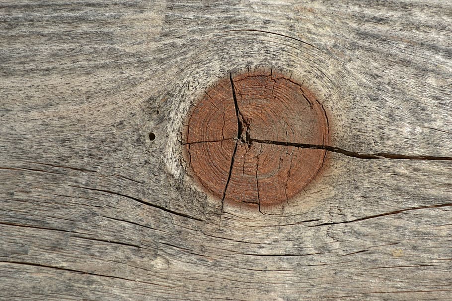 crack, node, wood, cracked, wood - material, textured, close-up HD wallpaper