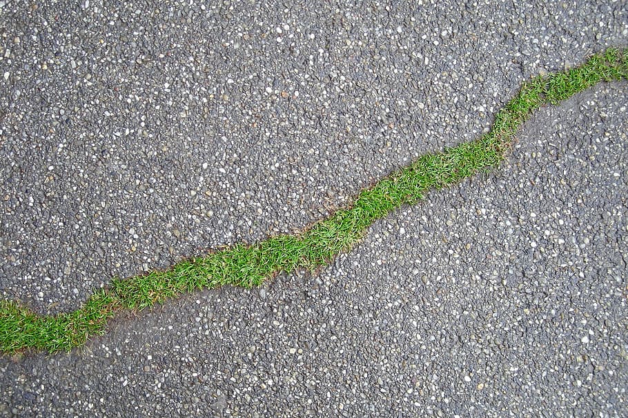 soil, ecology, grass, green, nature, bio, asphalt, plant, environment HD wallpaper