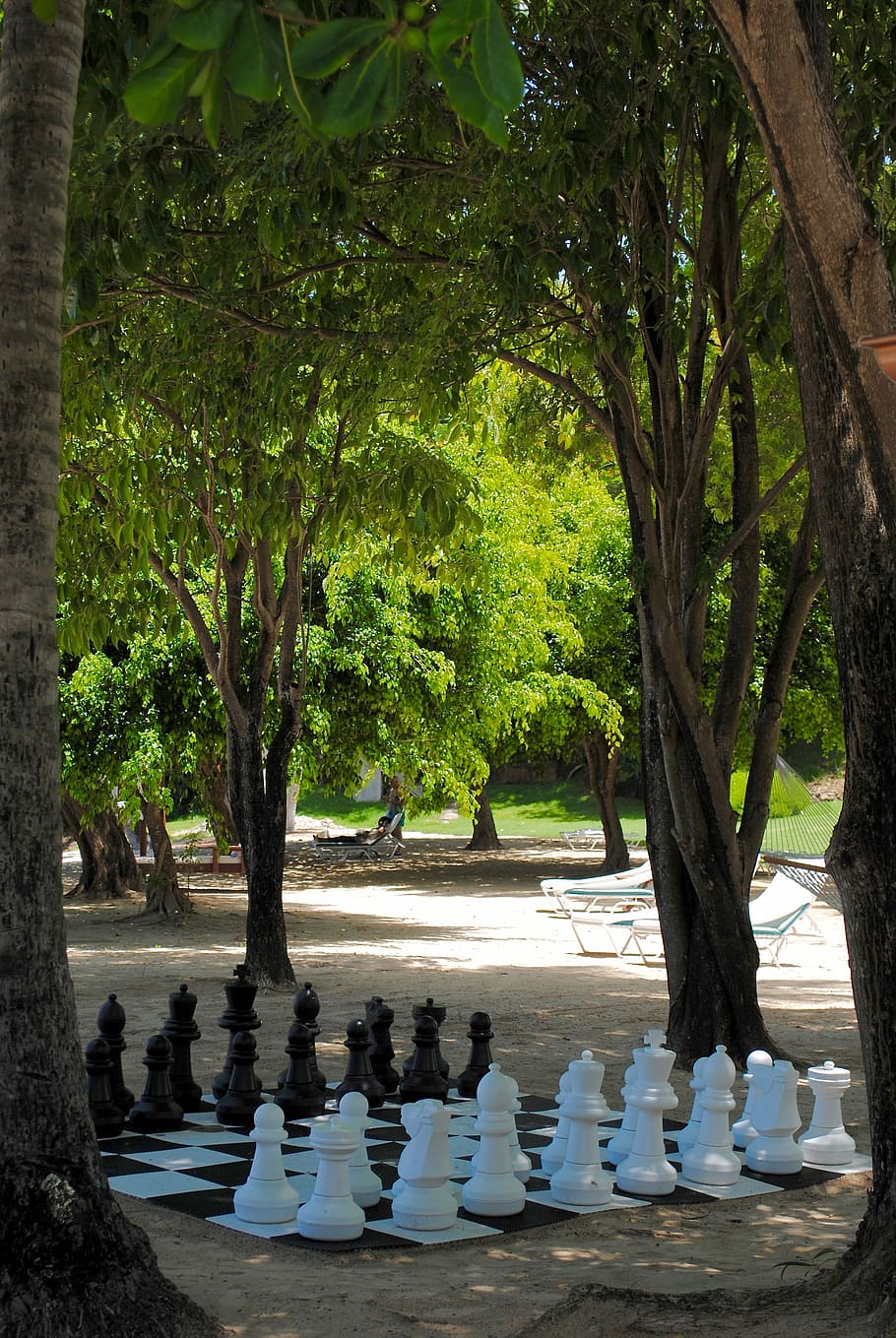 Chess, Game, Beach, Pastime, Leisure, trees, green, play, chess pieces HD wallpaper