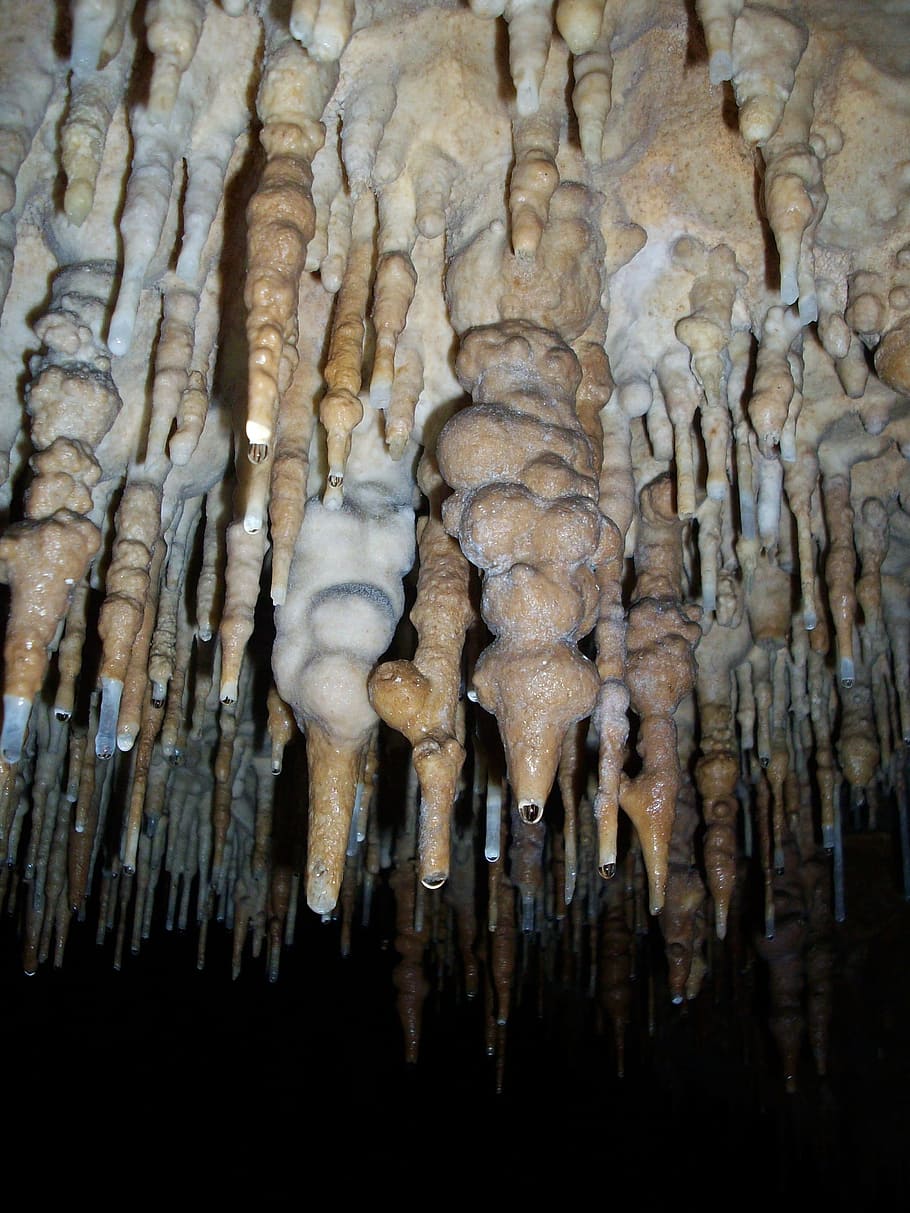 Stalactites, Cave, Ceiling, Geology, cave ceiling, caving, caves
