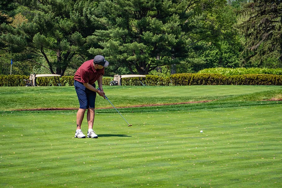 golf, golf course, putting, leisure activity, plant, green color HD wallpaper