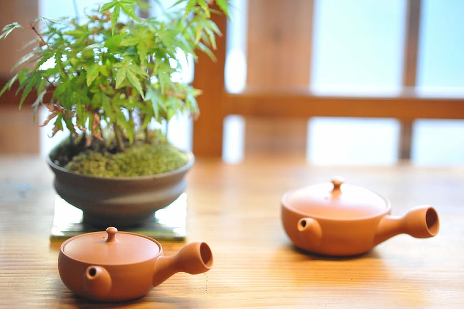 two brown pots near green leafed plant, teapot, pottery, table HD wallpaper