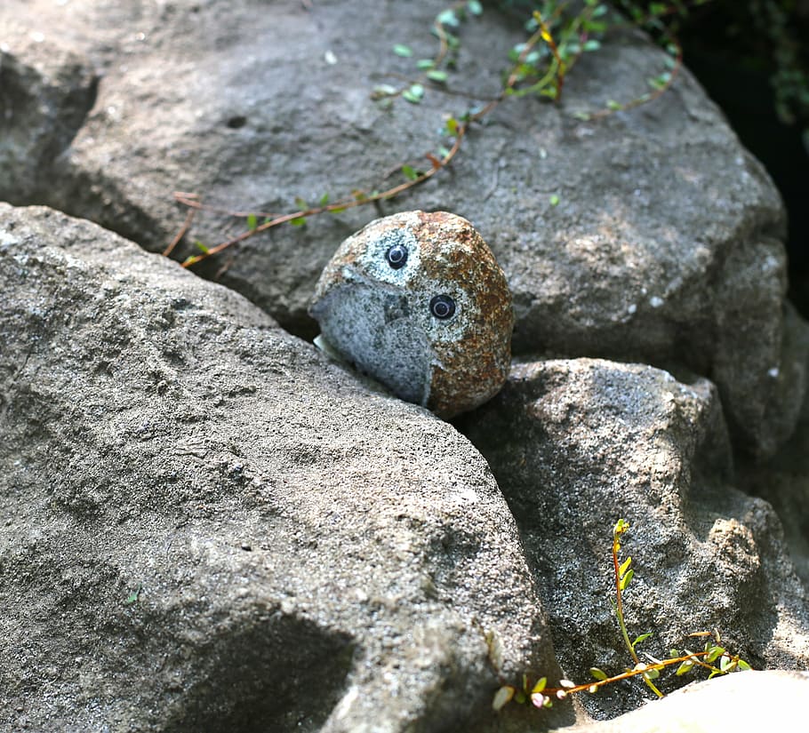 Stone birds. Камень Филин. Каменная Сова. Каменная птица. Совушки на камнях.