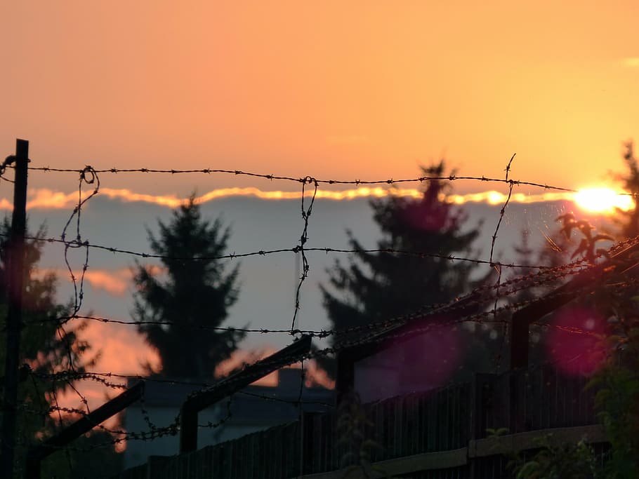 dom, wire, spikes, barbed wire, bondage, fencing, view, the sun HD wallpaper