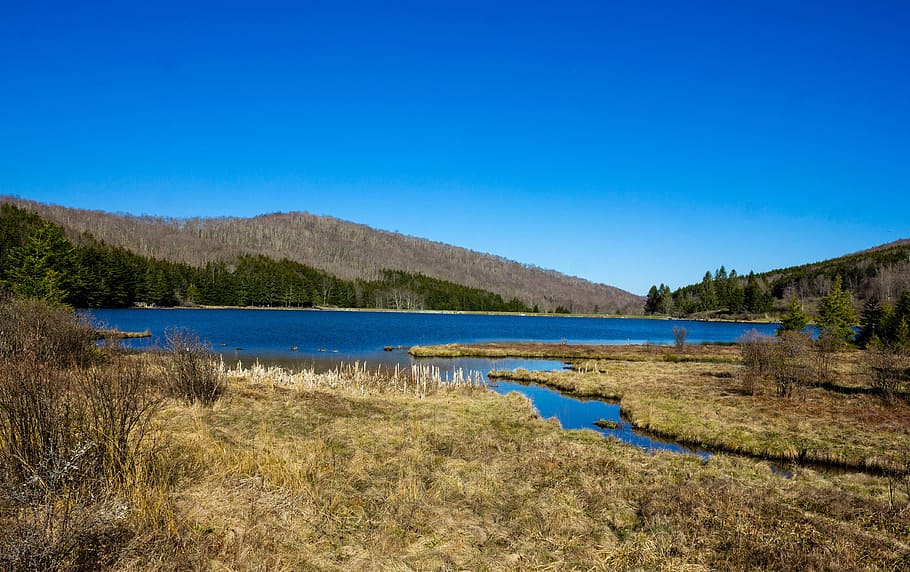 Landscapes of Spruce Knob Lake and Mountains, featured, public domain HD wallpaper