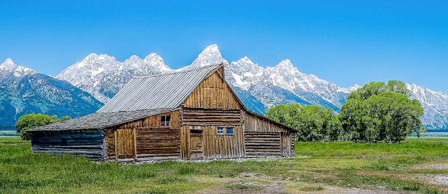 brown log house surrounded by green leaf trees with mountain alps on background, brown wooden house near trees HD wallpaper
