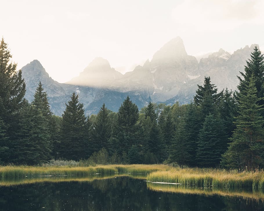 lake, water, trees, grass, outdoor, reflection, forest, mountain HD wallpaper