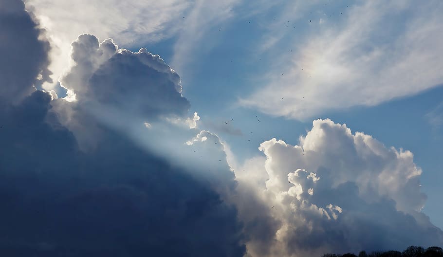 white and blue cloud sky, birds, flying, clouds, sun rays, nature HD wallpaper