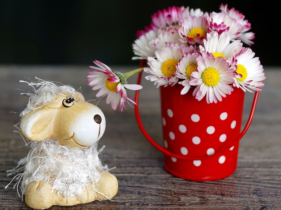 daisy flowers in red and white steel pot beside ceramic sheep figurine, HD wallpaper