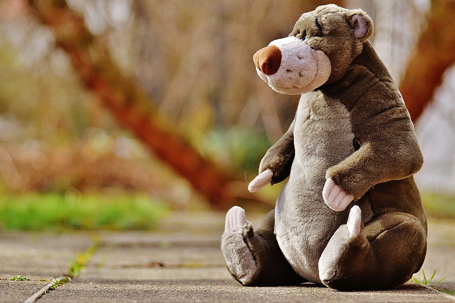 grey bear plush toy on concrete floor, soft toy, disney, stuffed animal, HD wallpaper