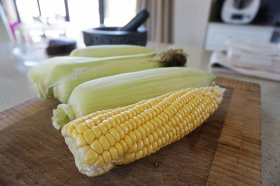 corn, sweetcorn, kitchen, vegetarian, corncob, fresh, raw, kernels HD wallpaper