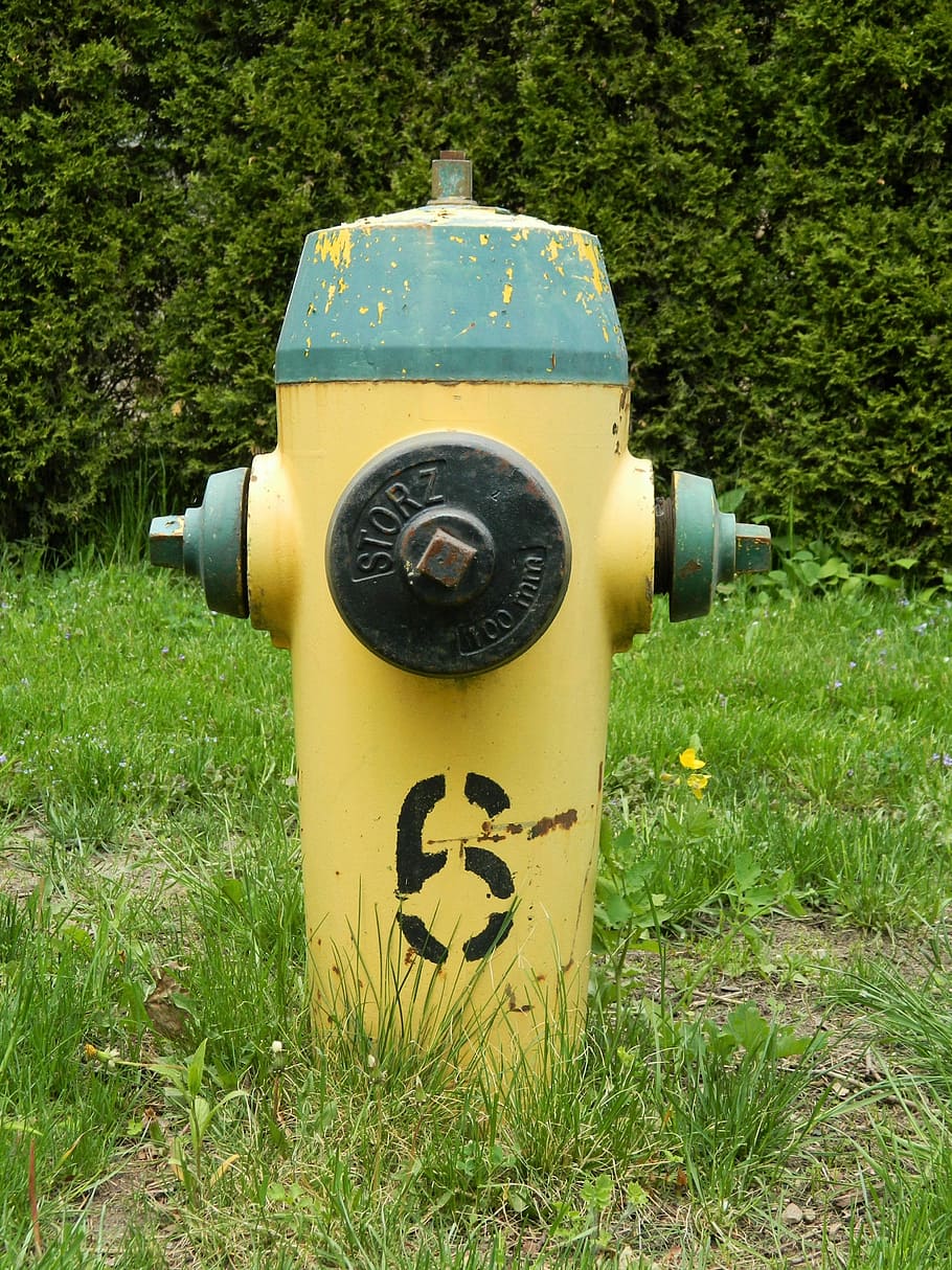 Hydrant, Water, Connection, Fire, Valve, water connection, grass HD wallpaper