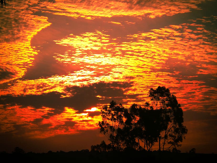 clouds, sunset, eventide, orange color, beauty in nature, sky HD wallpaper