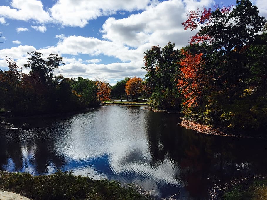 landscape, fall, autumn, trees, foliage, fall trees, water HD wallpaper