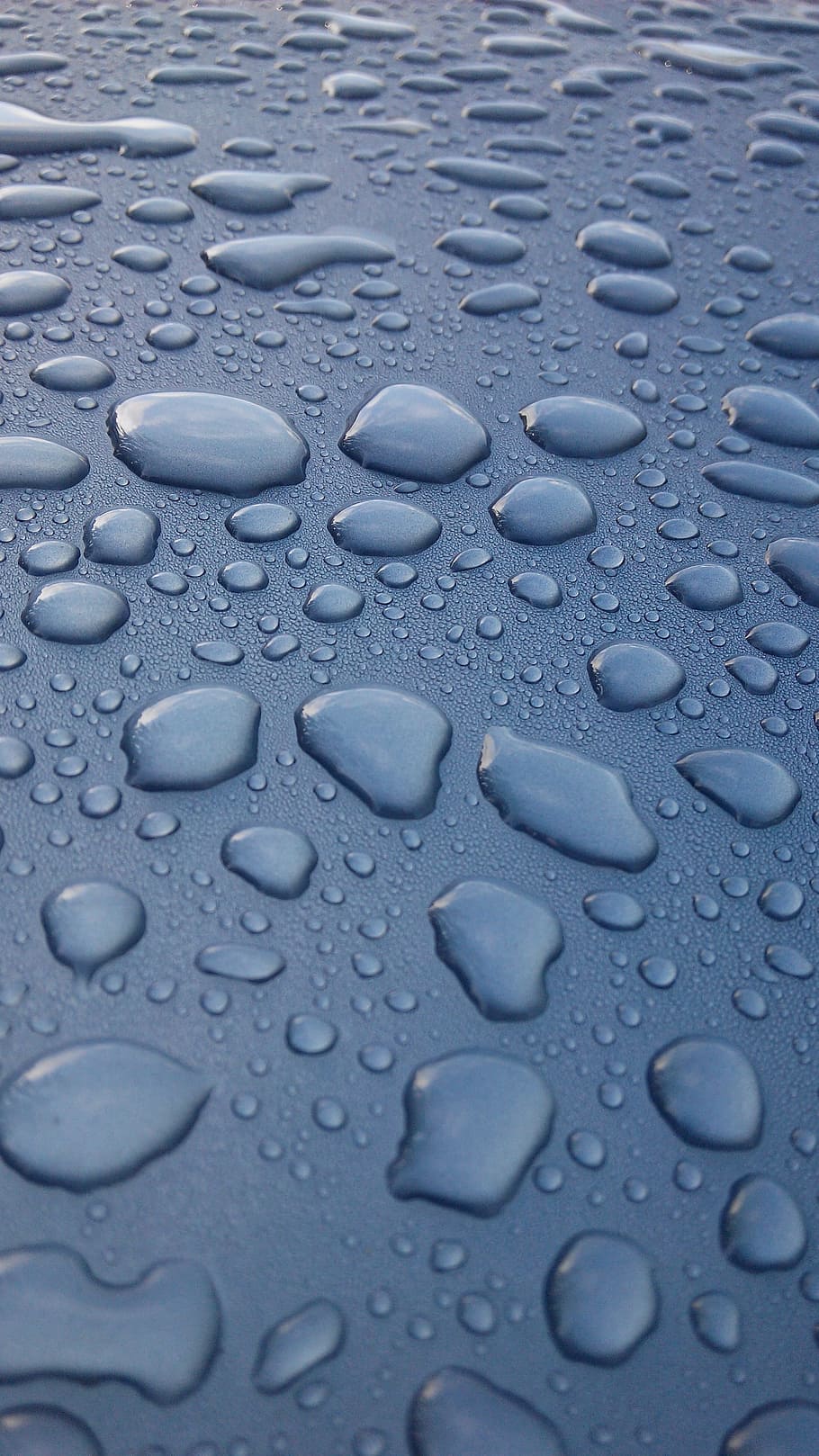 Water, Light, Shadow, rain, light and shadow, car, drop, wet HD wallpaper