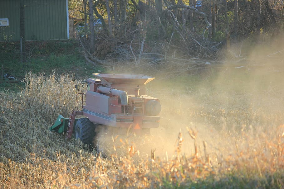 corn, corn picker, agriculture, harvest, autumn, farming, country HD wallpaper