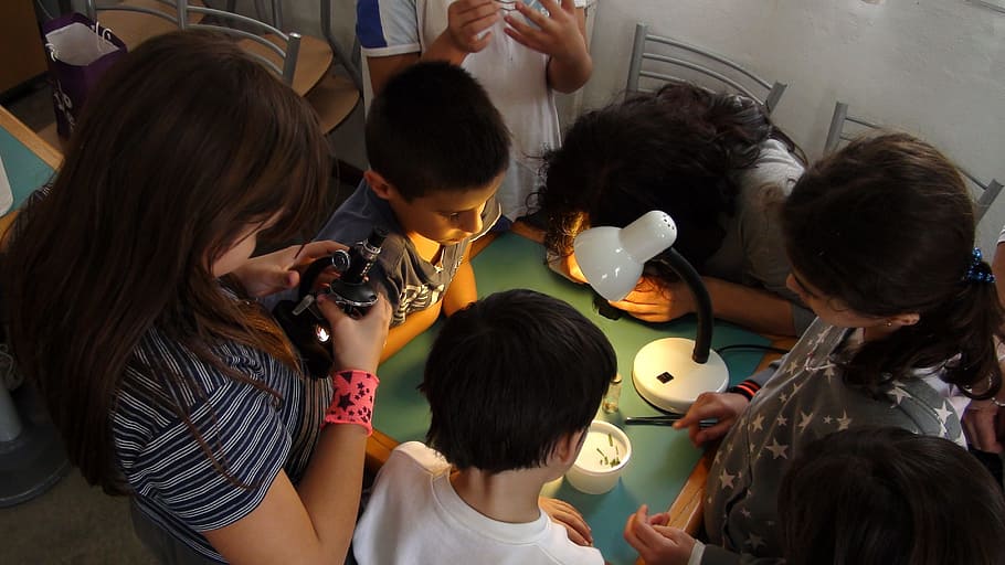 group of children looking at the table, they investigate, microscope HD wallpaper