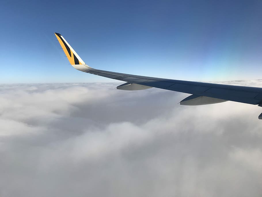 white airplane wing, cloud, aeroplane, sky, air vehicle, flying HD wallpaper