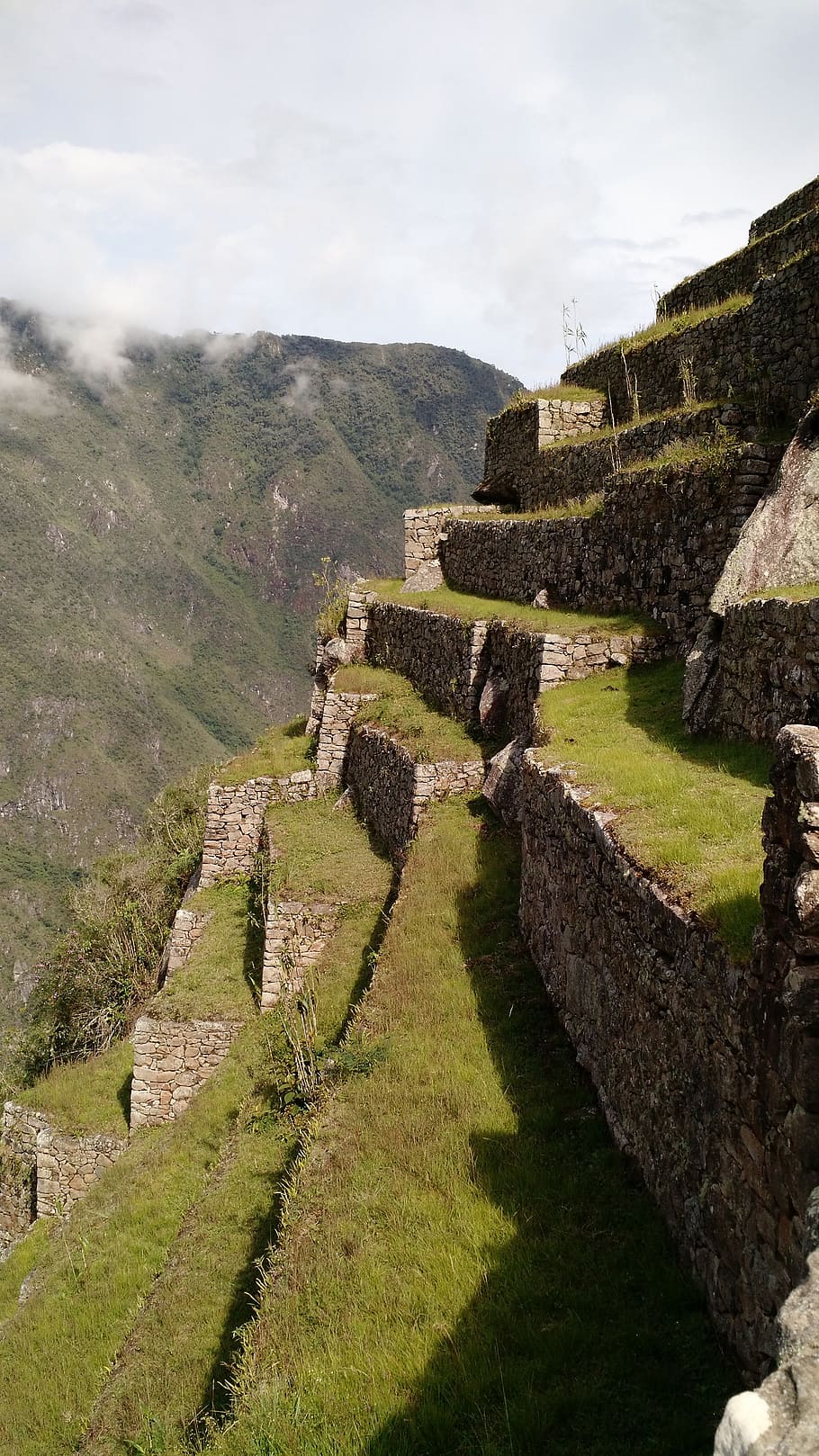 machu picchu, cusco, peru, history, the past, architecture HD wallpaper