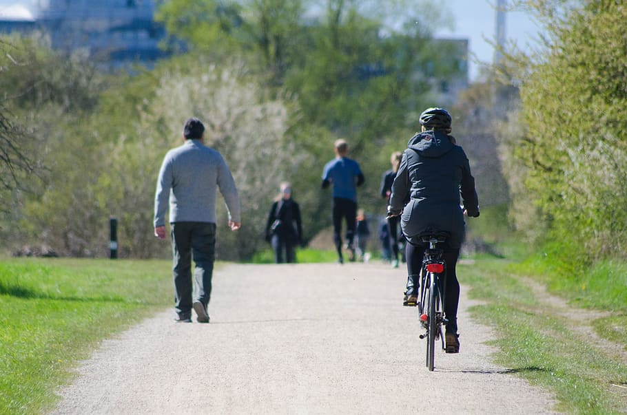 shallow focus photography of person riding on bicycle, park life