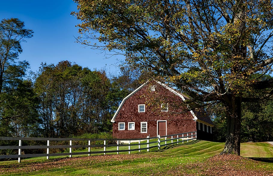 barn, connecticut, fall, autumn, foliage, fallen leaves, meadow HD wallpaper
