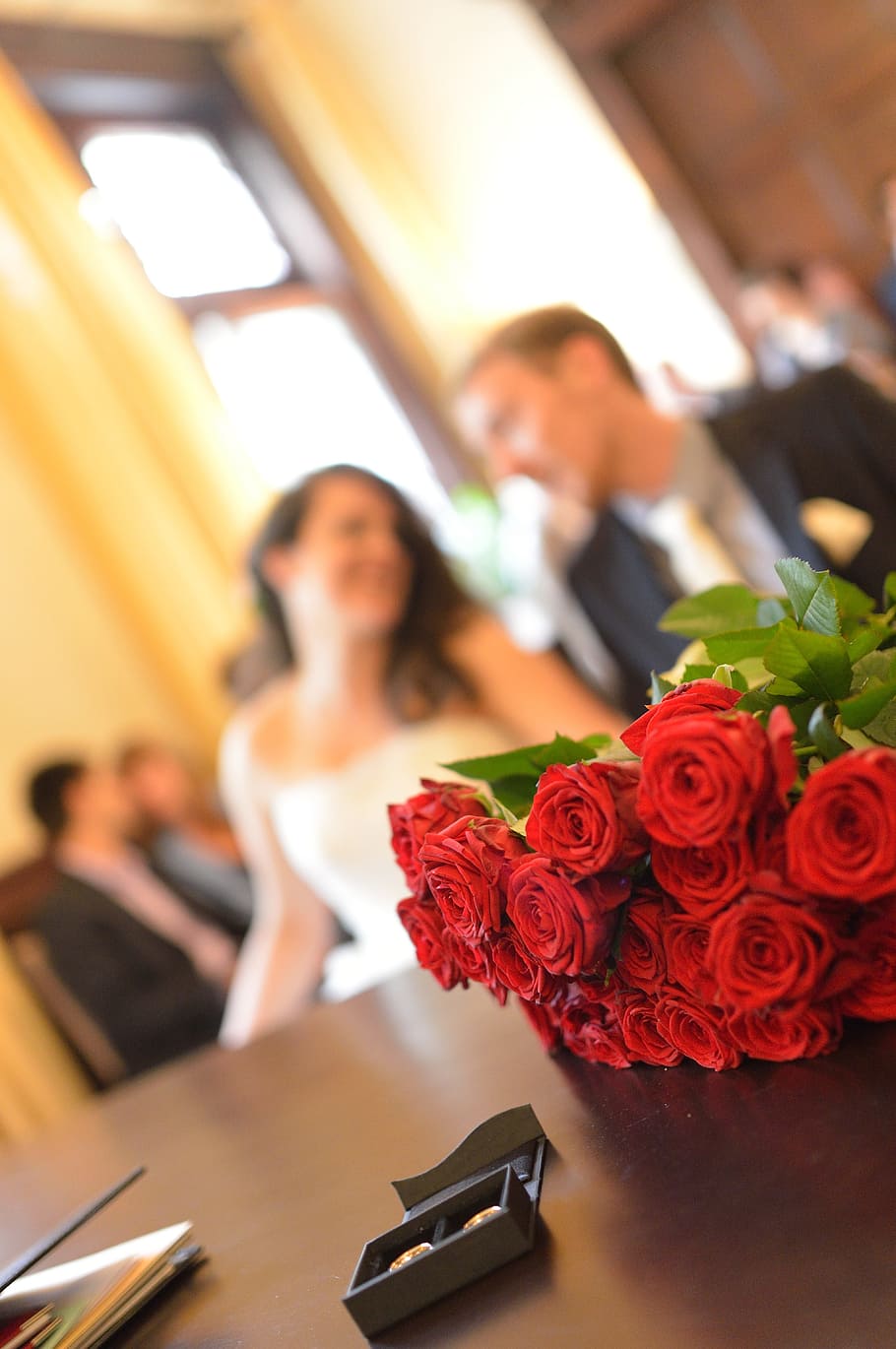 wedding, love, roses, flower, flowering plant, indoors, women HD wallpaper