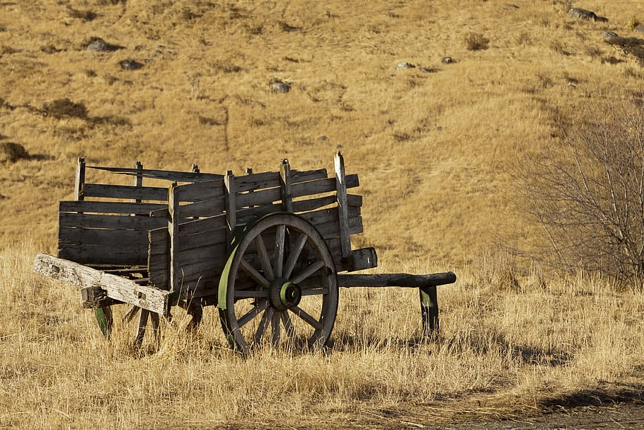 argentina, el calafate, nature, wagon, field, land, cart, agriculture, HD wallpaper