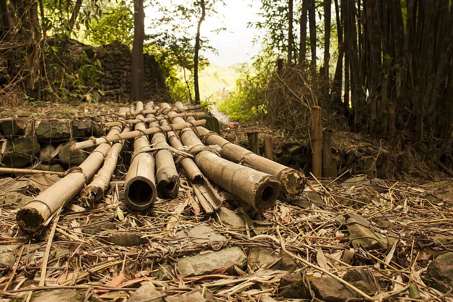 bamboo bridge during daytime, make-shift, pass-over, cross-over HD wallpaper