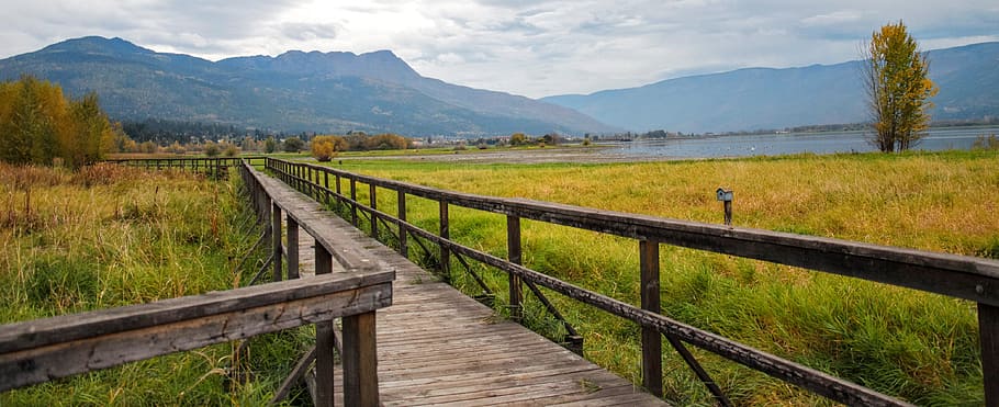 Brown Wooden Bridge Beside Green Grass Field, daylight, environment HD wallpaper